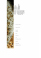 gaudi_testa1105_advert