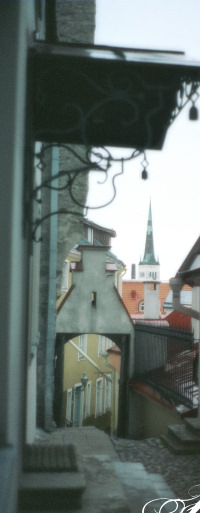 Talin, Estonia/Andrew Ostor